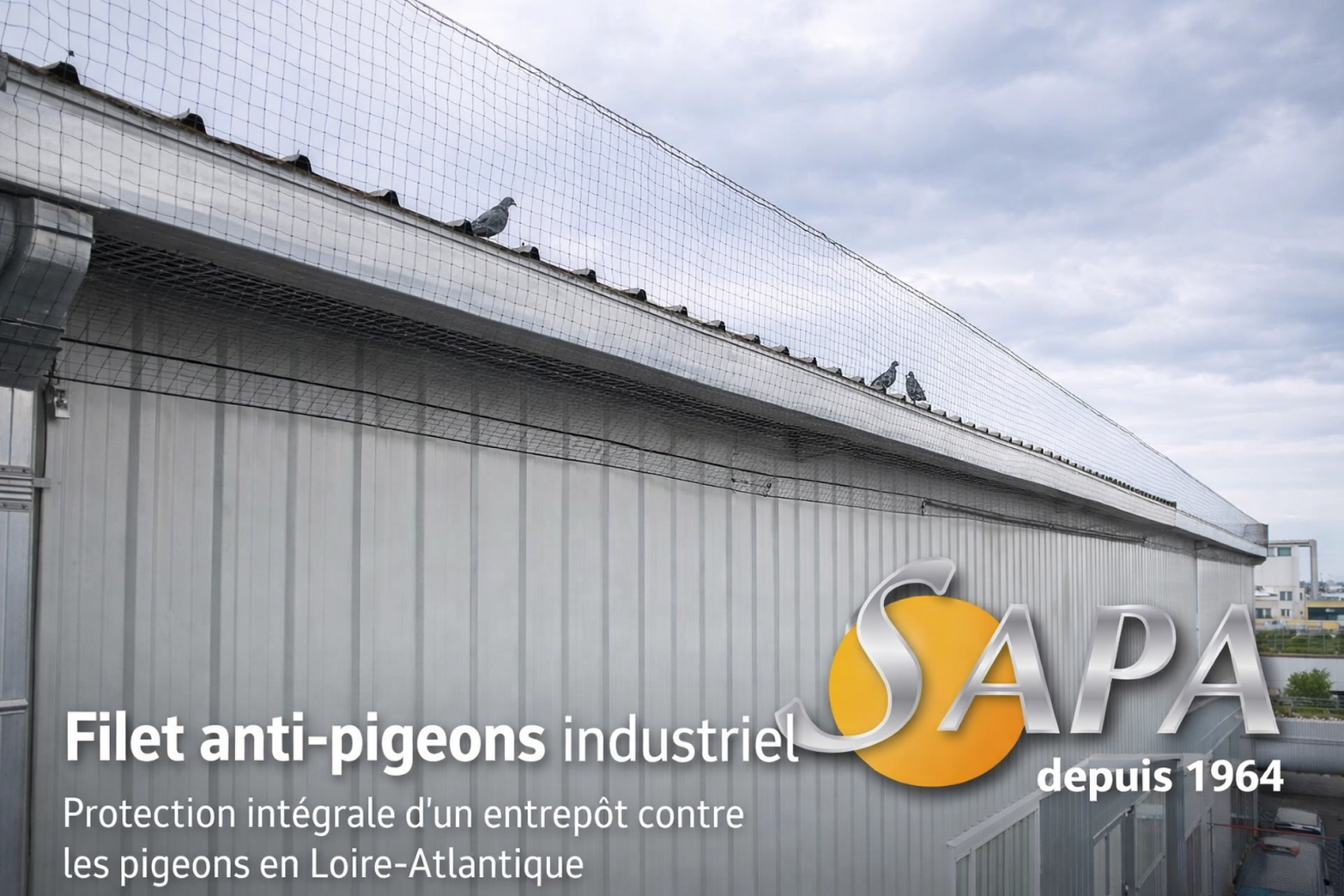 Dépigeonnage d'un bâtiment industriel à Saint-Nazaire