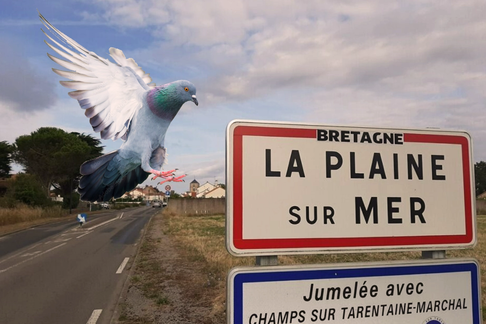 Pose de protections anti-pigeons à La Plaine-sur-Mer