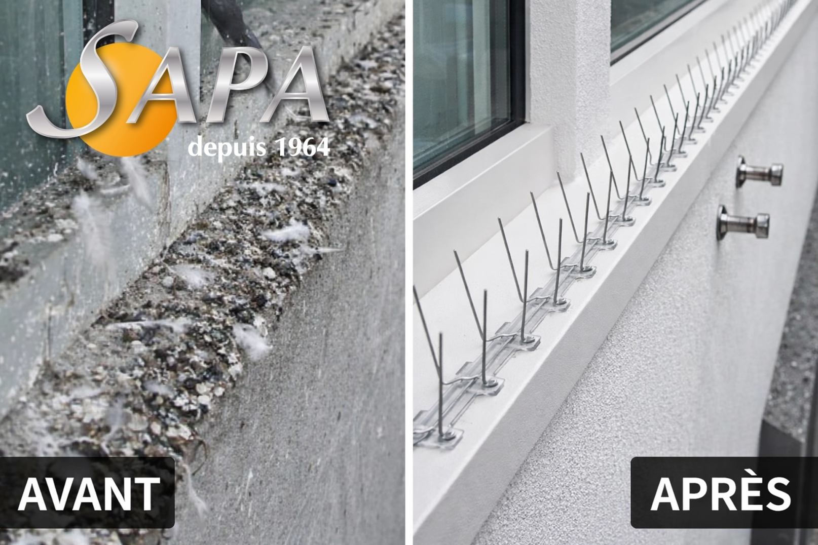 Technicien réalisant une désinfection après infestation de pigeons sur surfaces contaminées à Nozay