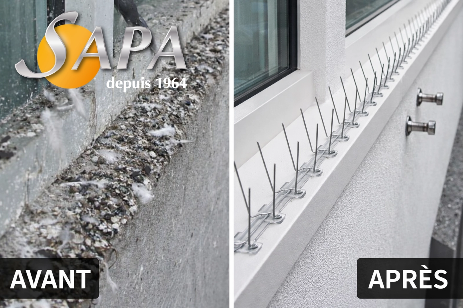 Désinfection des surfaces après une intervention de dépigeonnage