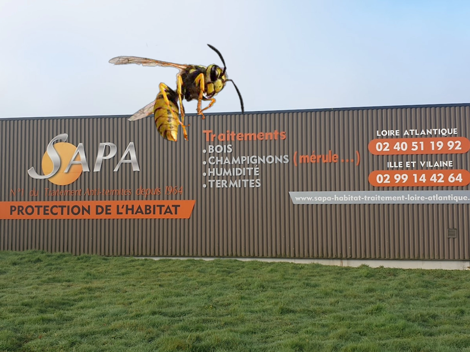 Bâtiment SAPA à Puceul avec une guêpe en survol, illustrant les interventions de désinsectisation