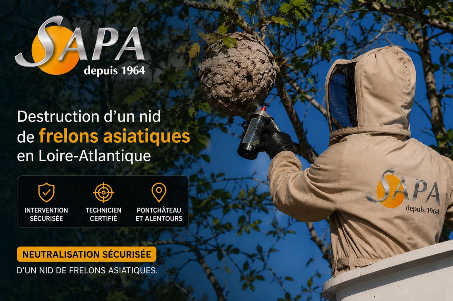 Destruction d'un nid de frelons asiatiques