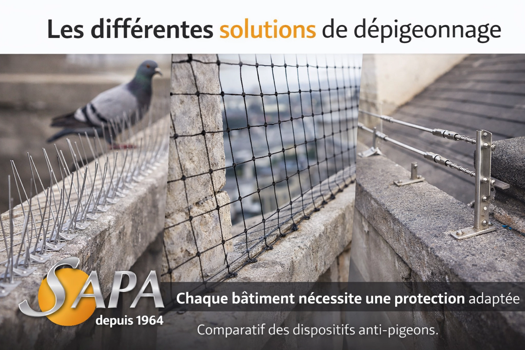 Différentes solutions professionnelles de dépigeonnage